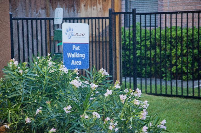 Extended Stay America Suites - Houston - Katy - I-10 Екстер'єр фото